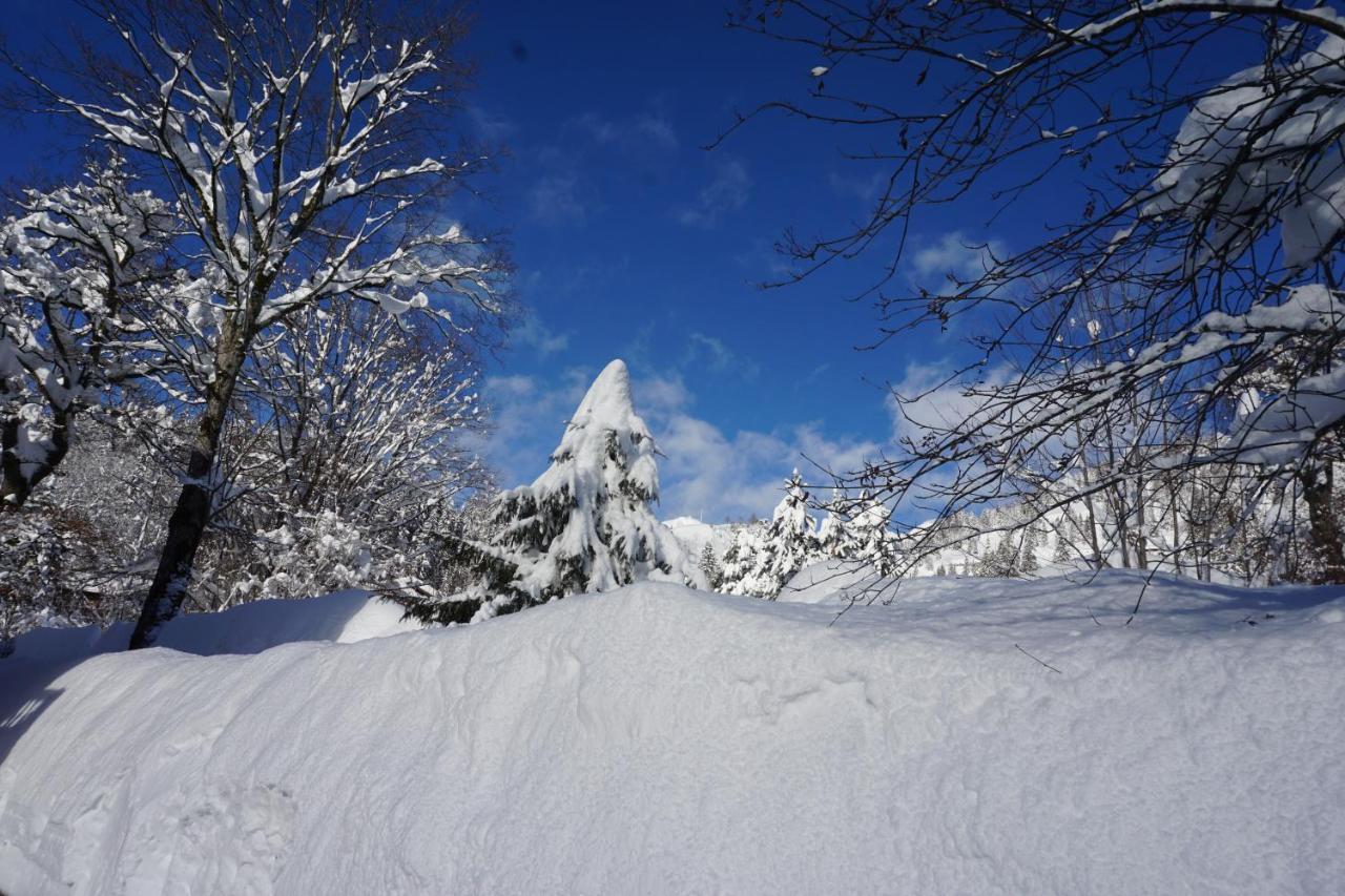 Haus Sonnenblick Otel Bayrischzell Dış mekan fotoğraf