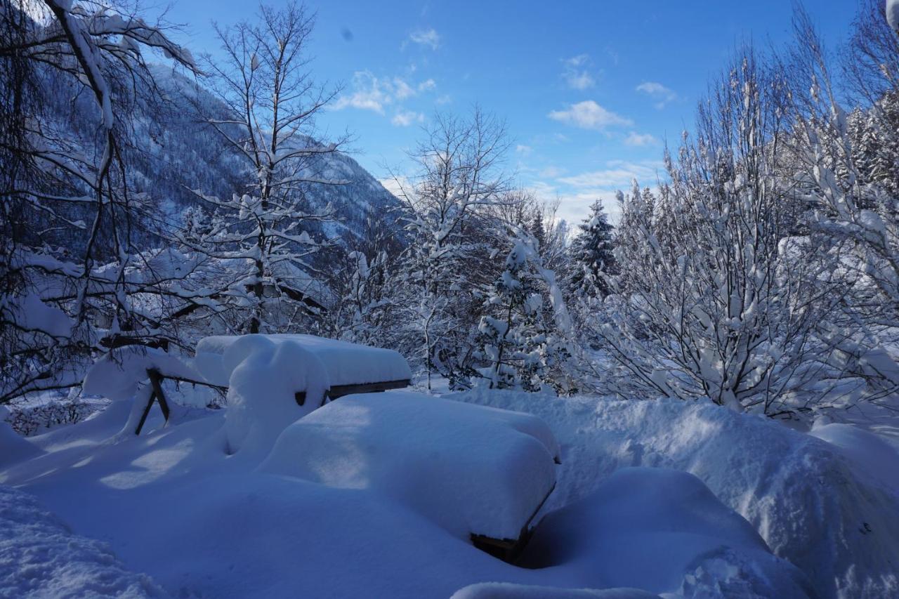 Haus Sonnenblick Otel Bayrischzell Dış mekan fotoğraf